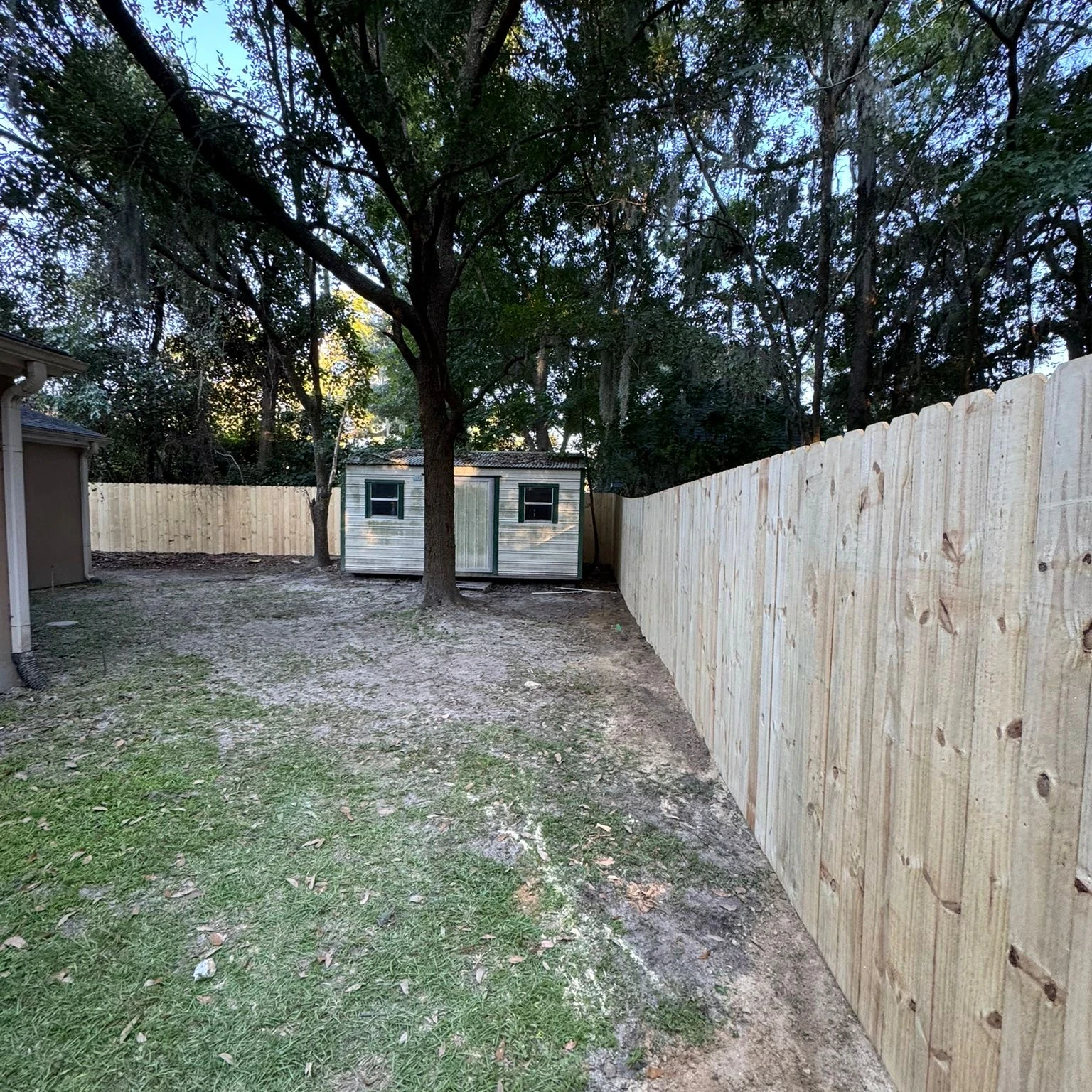 Wood privacy fence running along a shaded backyard and shed